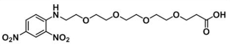 CAS 858126-76-8 DNP-PEG4-COOH 分子式 C17H25N3O10