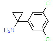 1260777-45-4	1-（3,5-二氯苯基）环丙烷-1-胺盐酸盐 PROTAC(蛋白降解靶向嵌合体)