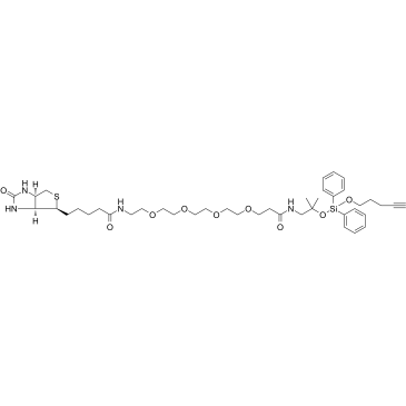 2241685-22-1	Biotin-PEG4-amino-t-Bu-DADPS-C3-alykne PROTAC(蛋白降解靶向嵌合体)