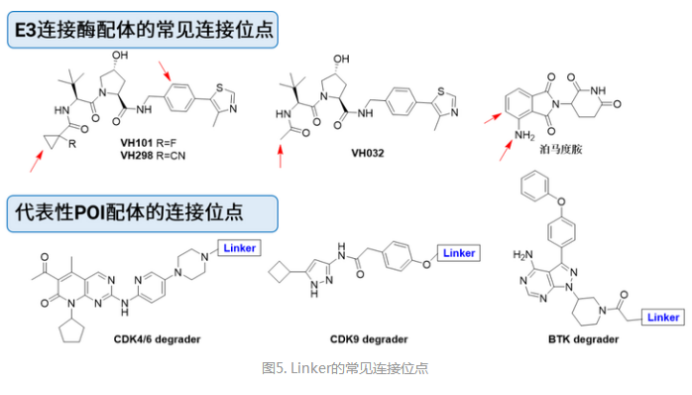 DSPE-PEG9-SH