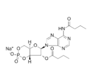 Bucladesine (sodium salt)  