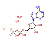 腺苷5-二磷酸钾	  