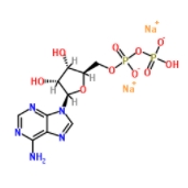 腺苷-5'-二磷酸钠盐水合物	   