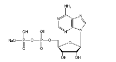 腺苷-5'-二磷酸 钠盐	 