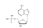 Deoxyadenosine monophosphate