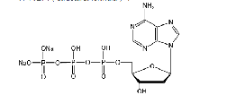 三磷酸脱氧腺苷钠盐(dATP)	  
