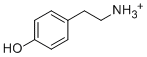 CAS ：60-19-5  Tyramine hydrochloride  酪胺盐酸盐