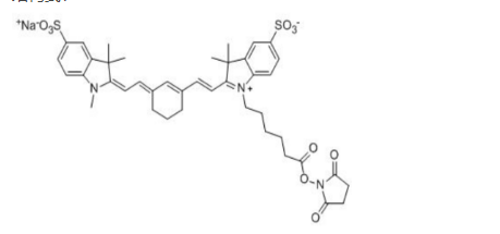 Sulfo-Cy7 NHS ester