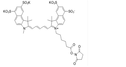 Sulfo-Cy5.5 NHS ester