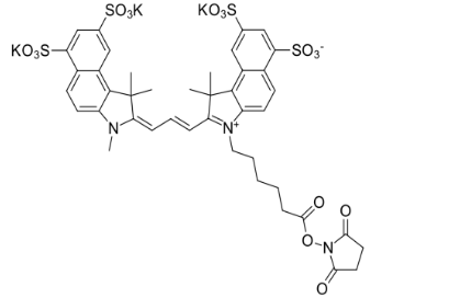 Sulfo-Cy3.5 NHS ester