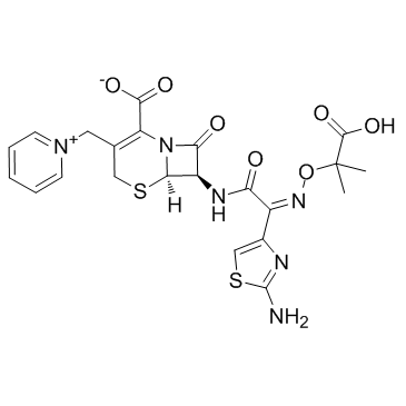 CAS:72558-82-8  Ceftazidime	头孢他啶