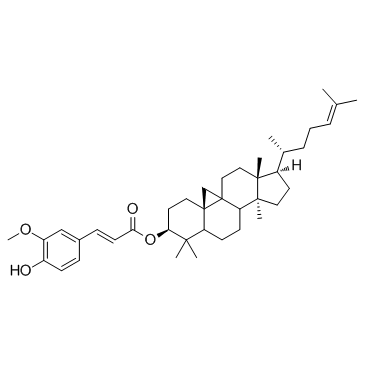 CAS:11042-64-1  Gamma-Oryzanol	谷维素