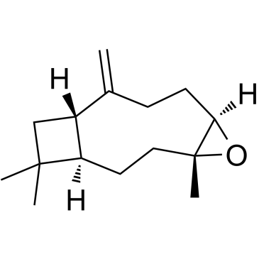 CAS:1139-30-6  Caryophyllene oxide	石竹素