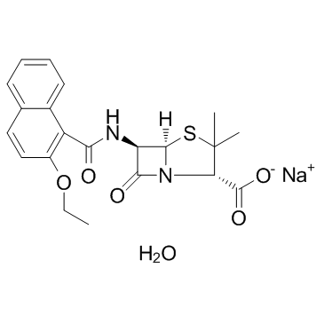 CAS:7177-50-6  Nafcillin Sodium	萘夫西林钠