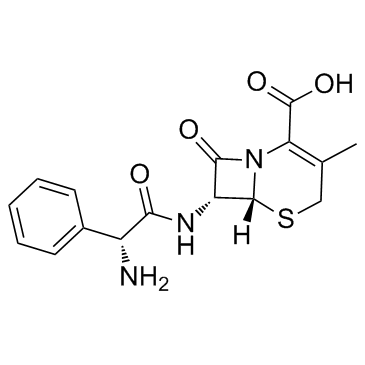 CAS:15686-71-2  Cephalexin	头孢氨苄