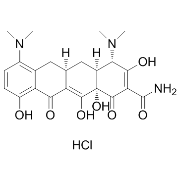 CAS:13614-98-7  Minocycline HCl	二甲胺四环素盐酸盐