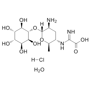 CAS:200132-83-8	Kasugamycin (hydrochloride hydrate)	春黄霉素盐酸盐水合物    原料药研发