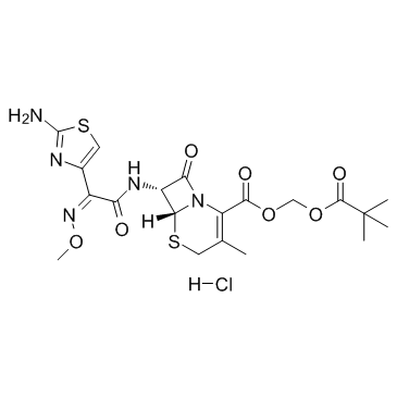 CAS:111696-23-2	Cefetamet pivoxil (hydrochloride)    盐酸头孢他美酯    化合物优化	