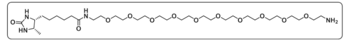 Desthiobiotin-PEG10-Amine