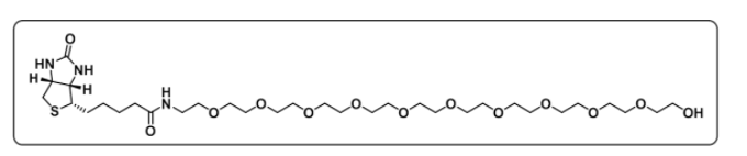 Biotin-PEG11-OH