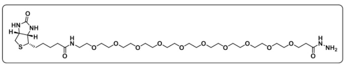 Biotin-PEG10-hydrazide