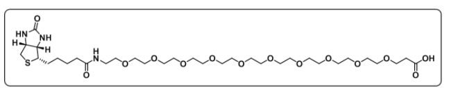 Biotin-PEG10-COOH