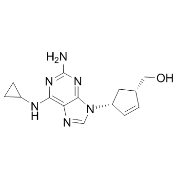 CAS:136470-78-5	Abacavir	阿巴卡韦  公斤级 