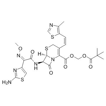 CAS:117467-28-4	Cefditoren (Pivoxil)	头孢妥仑匹酯   批量合成 