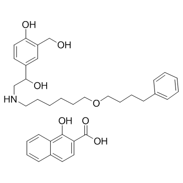 CAS:94749-08-3	Salmeterol (xinafoate)	昔美酸沙美特罗  中试供应 