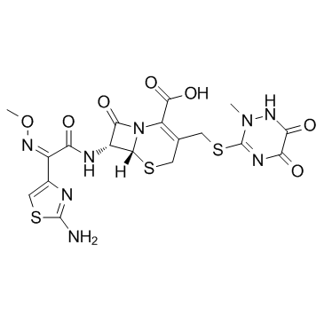 CAS:73384-59-5	Ceftriaxone	头孢曲松      原料药研发