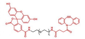 FITC-PEG-DBCO   荧光素聚乙二醇二苯基环辛炔