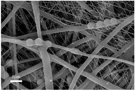 生物抗*染色纳米纤维膜的介绍