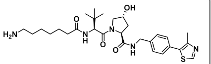 CAS: 2306389-03-5           (S,R,S)-AHPC-C6-NH2         (S,R,S)-AHPC-C6-氨基