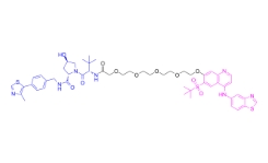 CAS:	1801547-16-9	PROTAC RIPK degrader-2