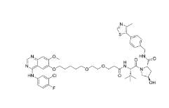 CAS:	2230821-27-7	Gefitinib-based PROTAC 3