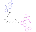 CAS:	2378258-52-5	PROTAC K-Ras Degrader-1