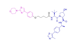 CAS:	2767440-24-2	PROTAC AR-V7 degrader-1