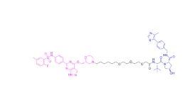 CAS:	2381320-35-8	PROTAC SGK3 degrader-1