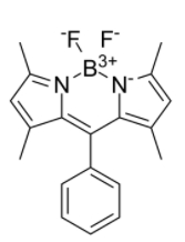 8-Phenyl-BODIPY 505/515 