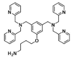 819066-98-3  DPA-DC1  5-(4-氨基丁氧基)-N,N,N',N'-四(2-吡啶基甲基)-1,3-苯二甲胺