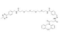  Methyltetrazine-PEG4-hydrazone-DBCO  甲基四嗪-四聚乙二醇-醛肼键-二苯基环辛炔基  点击化学试剂