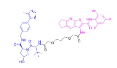 CAS:	2488660-12-2	DA-PROTAC     PROTACs（蛋白降解靶向嵌合体）