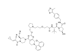 CAS:	2913177-53-2	YF135          PROTACs（蛋白降解靶向嵌合体）