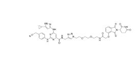 CAS:	2597167-34-3	PROTAC Chk1 degrader-1          PROTACs（蛋白降解靶向嵌合体）