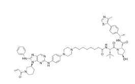 CAS:	2768472-28-0	PROTAC EGFR degrader 3   PROTACs（蛋白降解靶向嵌合体）