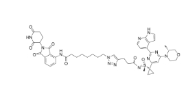 CAS:	2925916-30-7	PROTAC ATR degrader-1     PROTACs（蛋白降解靶向嵌合体）