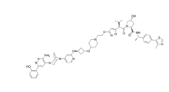 CAS:	2378051-80-8	PROTAC BRM degrader-1      PROTACs（蛋白降解靶向嵌合体）