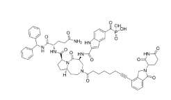 CAS:	2497583-03-4	STAT3 degrader-2    PROTACs（蛋白降解靶向嵌合体）