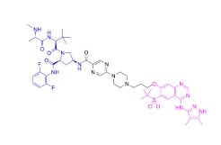 CAS:	2126803-41-4	RIP2 Kinase Inhibitor 4    PROTACs（蛋白降解靶向嵌合体）