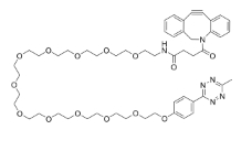  Methyltetrazine-PEG12-DBCO  甲基四嗪-PEG12-DBCO   点击化学试剂